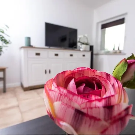 Apartman Dreilaenderheck *